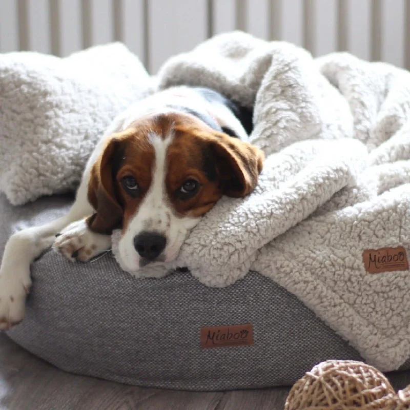 Donut Dog Bed Set - Misty Grey