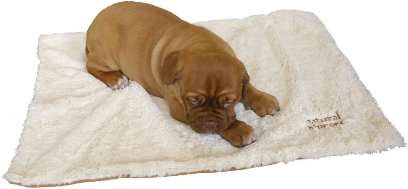 Puppy and Small Dog Blanket in Cream