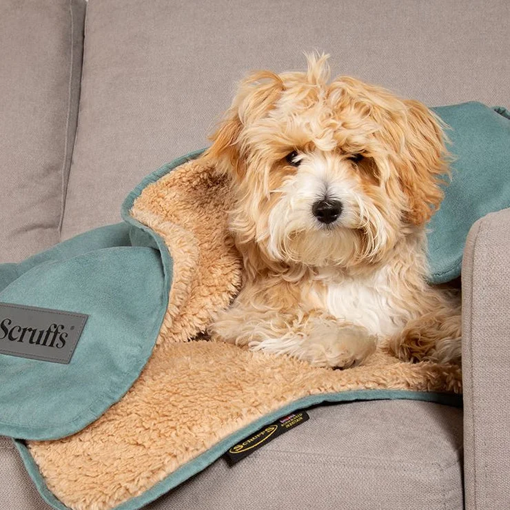 Scruffs Snuggle Blanket - Sage Green