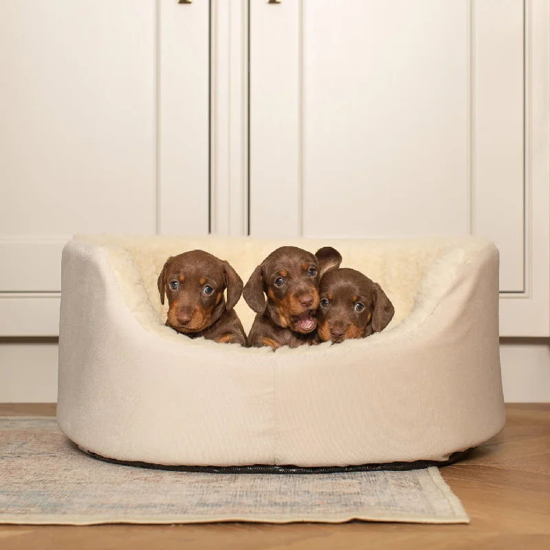 Grow With Me Puppy Bed in Cream by Lords & Labradors