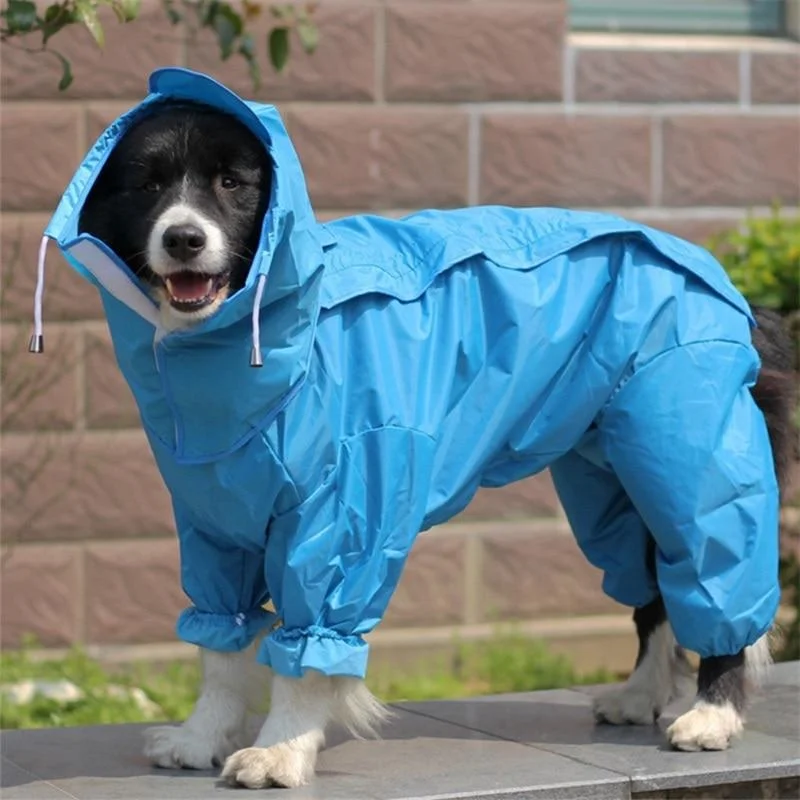 Big Dog Raincoat