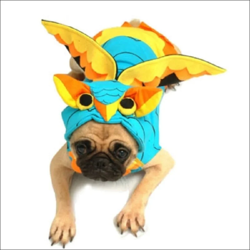 Colorful Owl Pet Costume