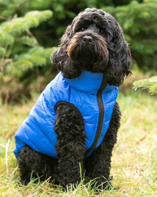 Reversible Dog Puffer Jacket - Blue and Navy