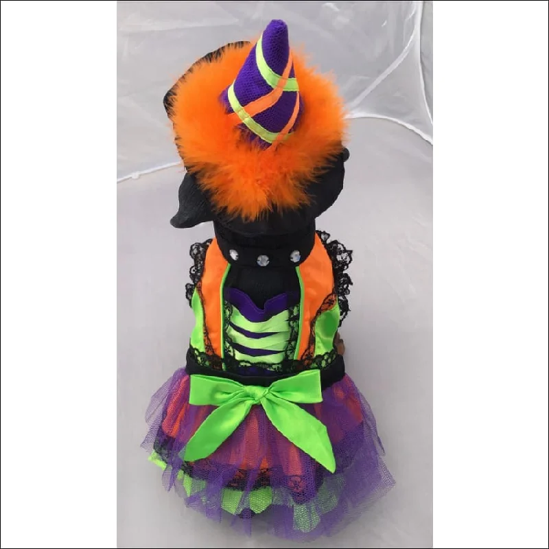 Halloween Neon Orange Witch Pet Costume