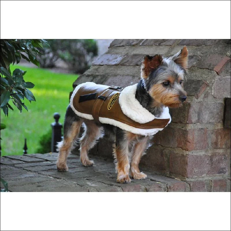 NEW-Doggie Deisng Designer Brown and Black Trim Vintage Bomber Coat & Leash