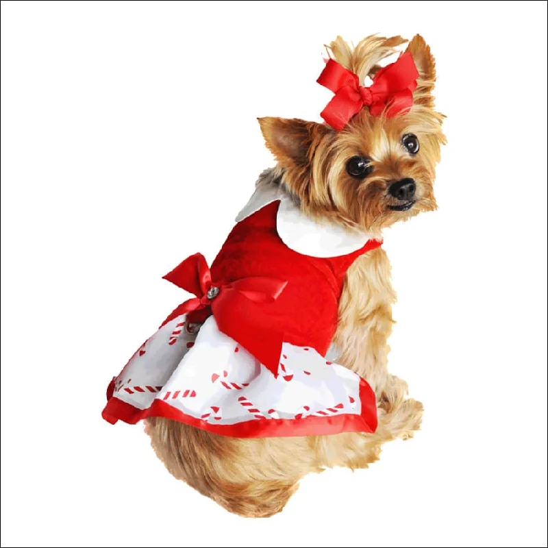 NEW-Doggie Design Christmas Candy Cane Rhinestone Dress with D Ring and Leash