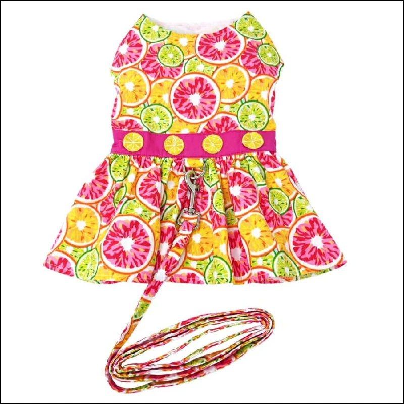 NEW- Doggie Design Citrus Slice Dog Dress with Matching Leash