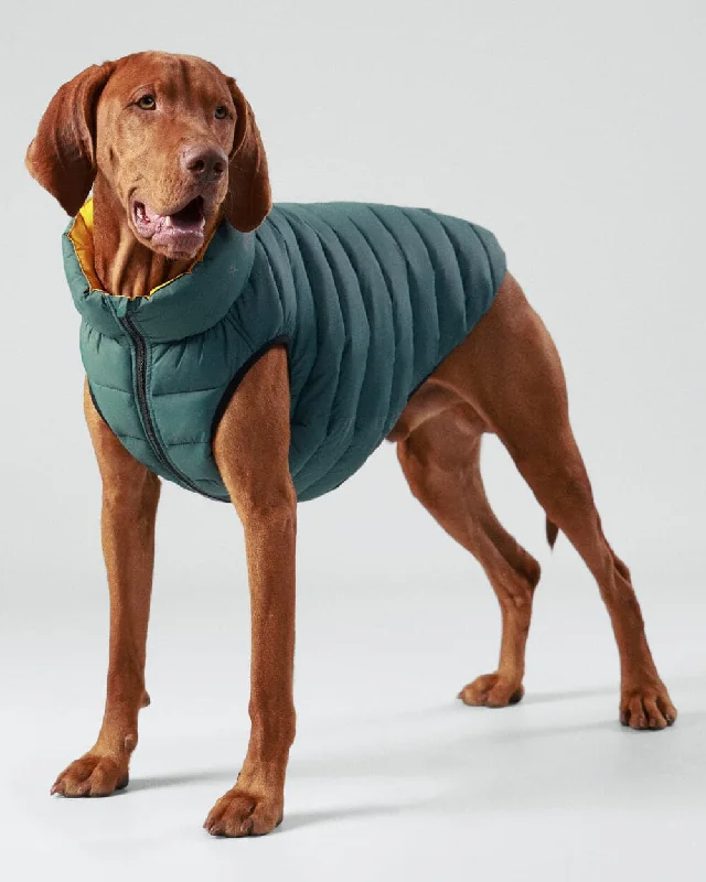 Reversible Dog Puffer Jacket - Forest Green & Gold