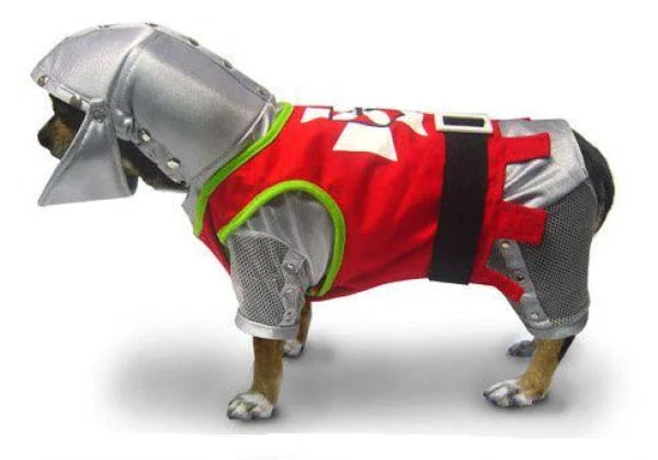 Sir-Barks-A-Lot Costume