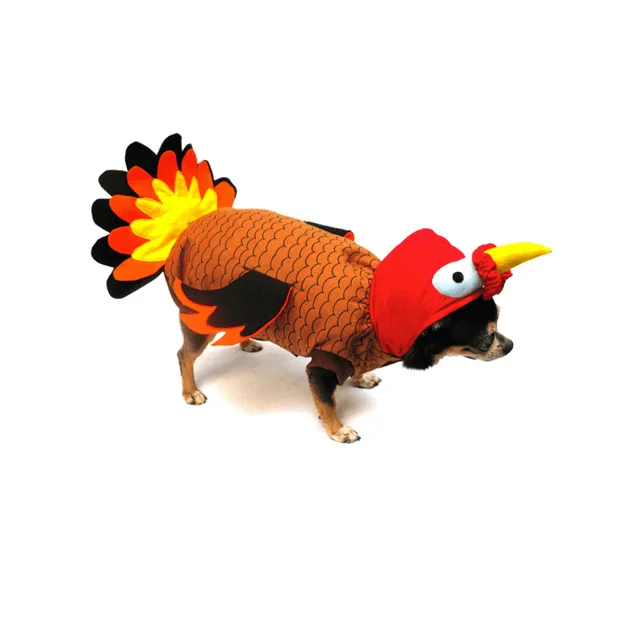 Turkey Dog Costume