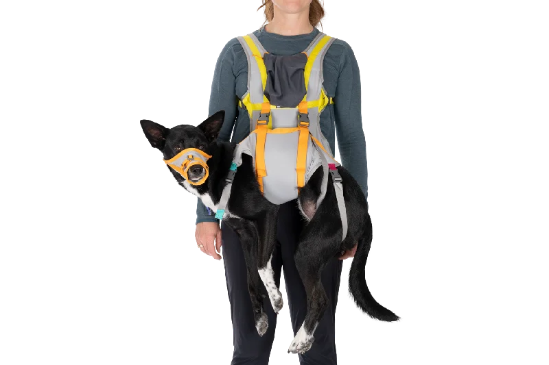 BackTrak™ Dog Evacuation Kit