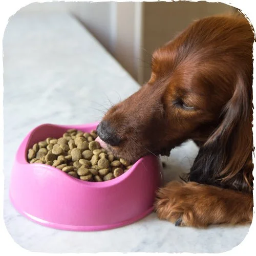 Beco Dog  Bowl - Pink Color