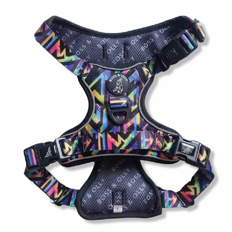 Boss & Olly Active Dog Harness (Aztec Rainbow)