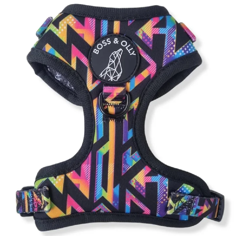 Boss & Olly Adjustable Dog Harness (Aztec Rainbow)