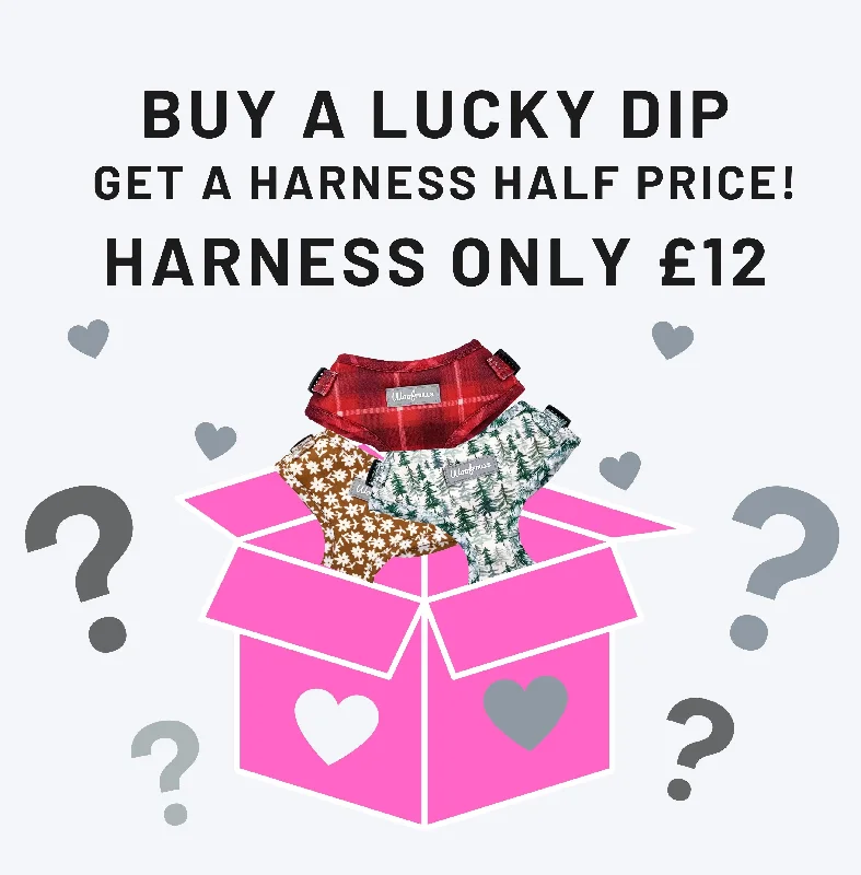 Dog harness| Lucky dip