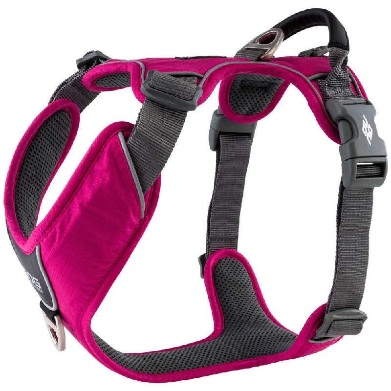 DOG Copenhagen Comfort Walk Pro Dog Harness (Wild Rose)