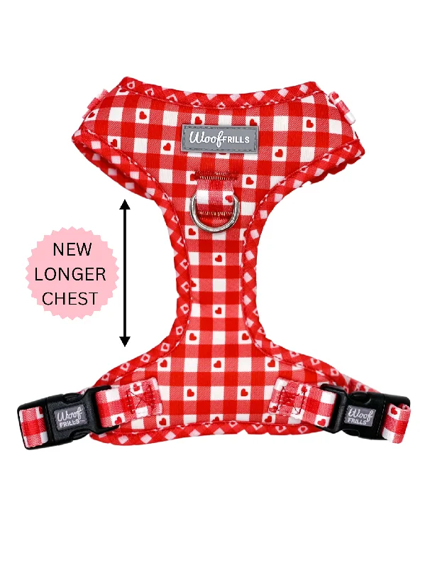 Dog Harness | Picnic to my heart