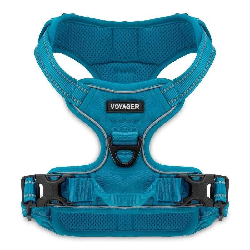 Dual-Attachment Dog Harness