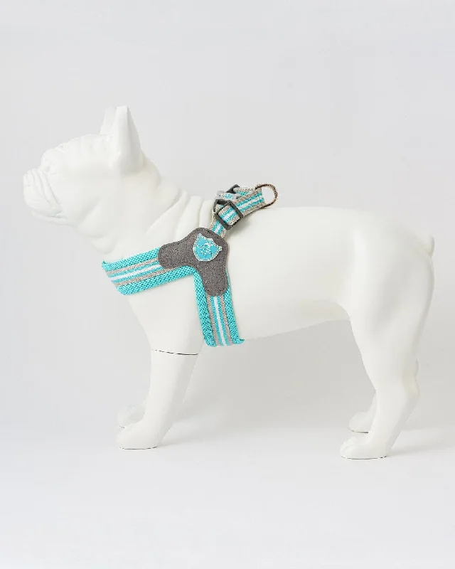 Easy Walk V Dog Harness - Aqua