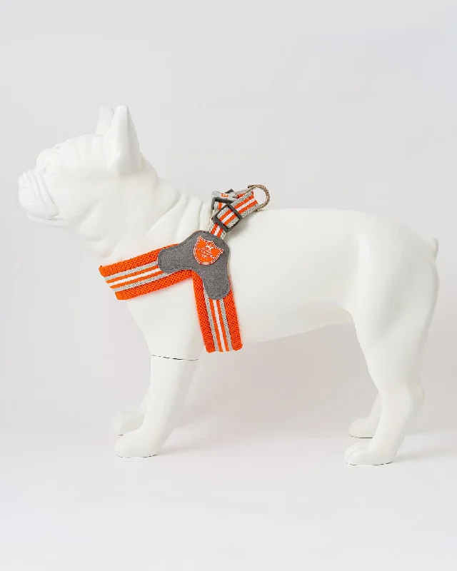 Easy Walk V Dog Harness - Orange