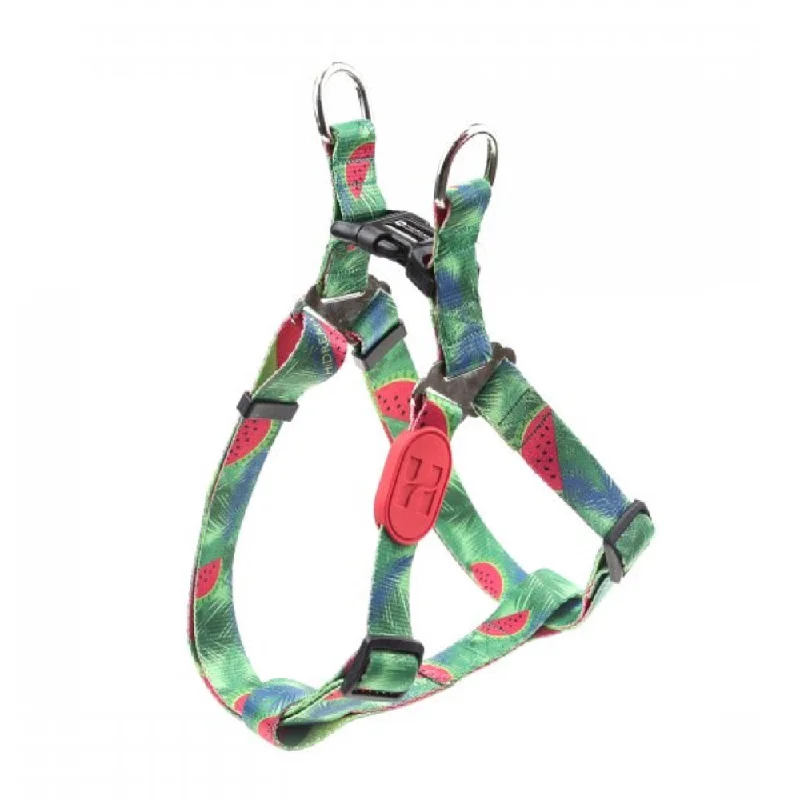 HiDream Profusion Dog Y-Harness (Watermelon)