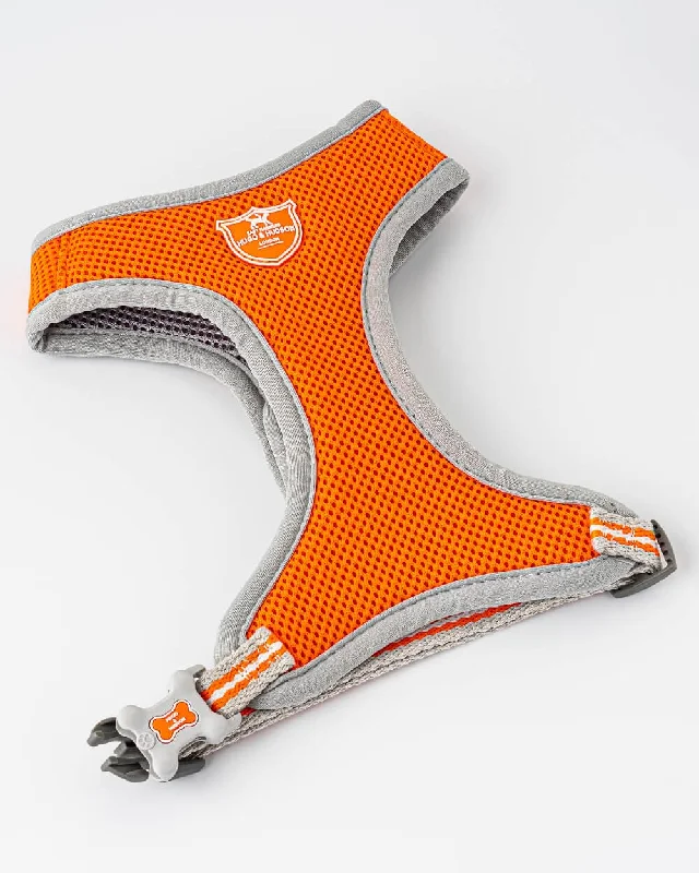 Mesh Dog Harness - Orange