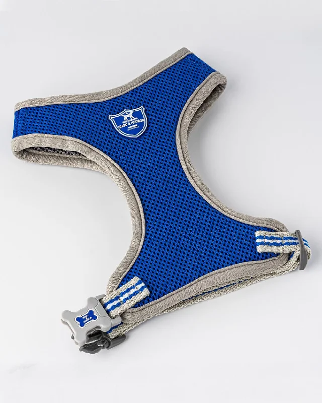 Mesh Dog Harness - Royal Blue