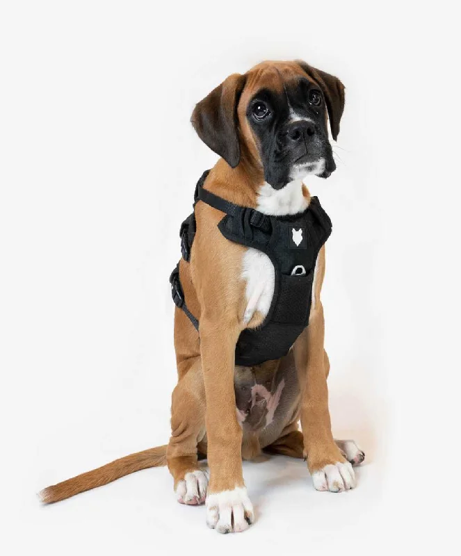 Ragnar Dog Harness