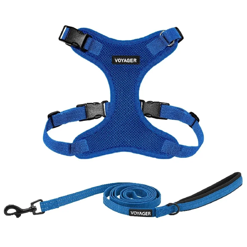 Step-In Lock Harness & Leash Combo: Style & Safety