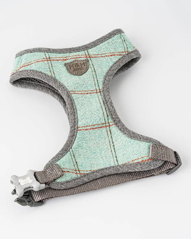 Tweed Dog Harness - Aqua Checked