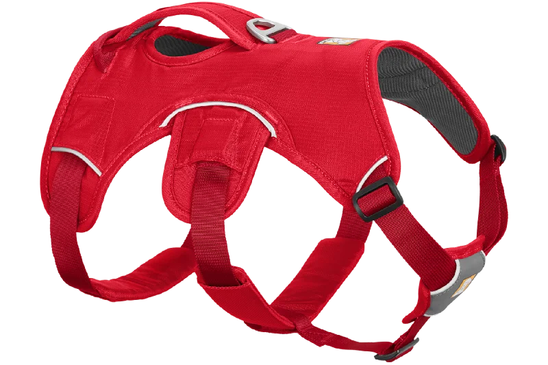 Web Master™ Dog Harness with Handle