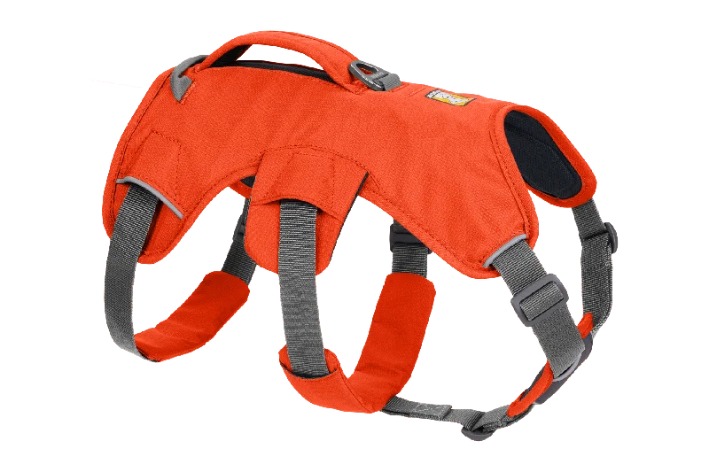 Web Master™ Dog Harness with Handle