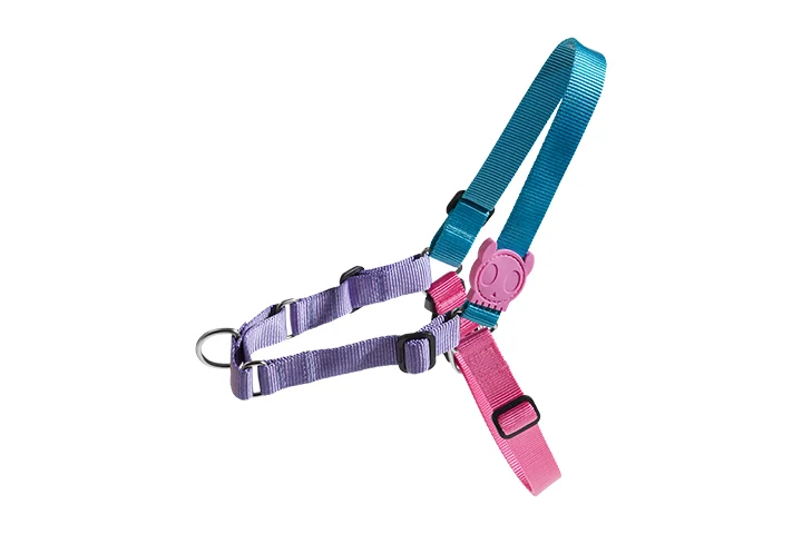 Zee.Dog Soft-Walk Dog Harness (Aurora)