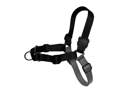 Zee.Dog Soft-Walk Dog Harness (Gotham)