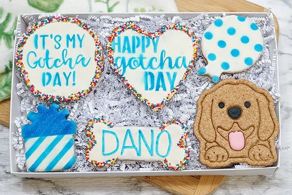 Custom Dog Adoption Box  | Welcome Home Happy Gotcha Day Dog Treat 6 Cookie Gift Box