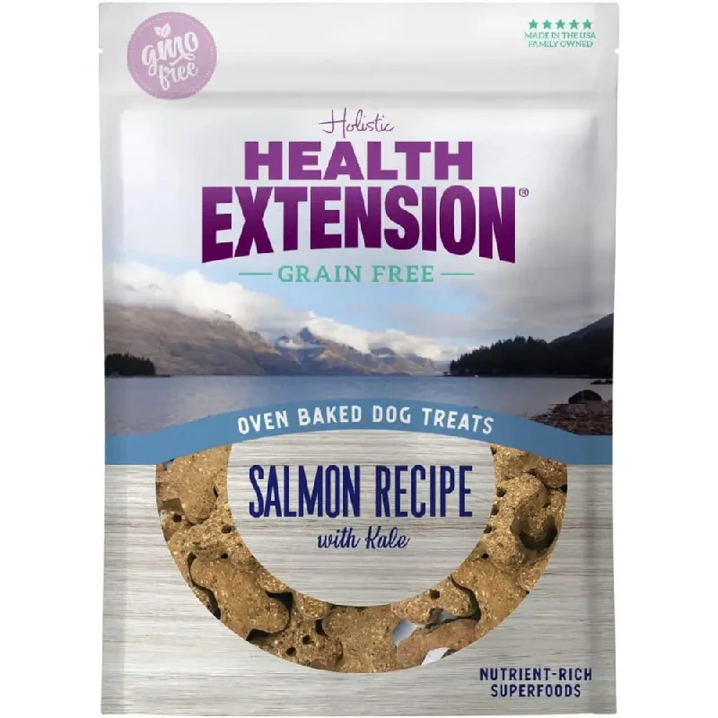 Health Extension Grain Free Salmon / Kale Dog Treat