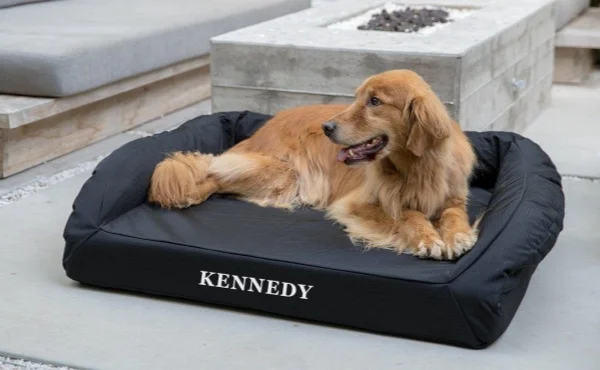 Dog Bed